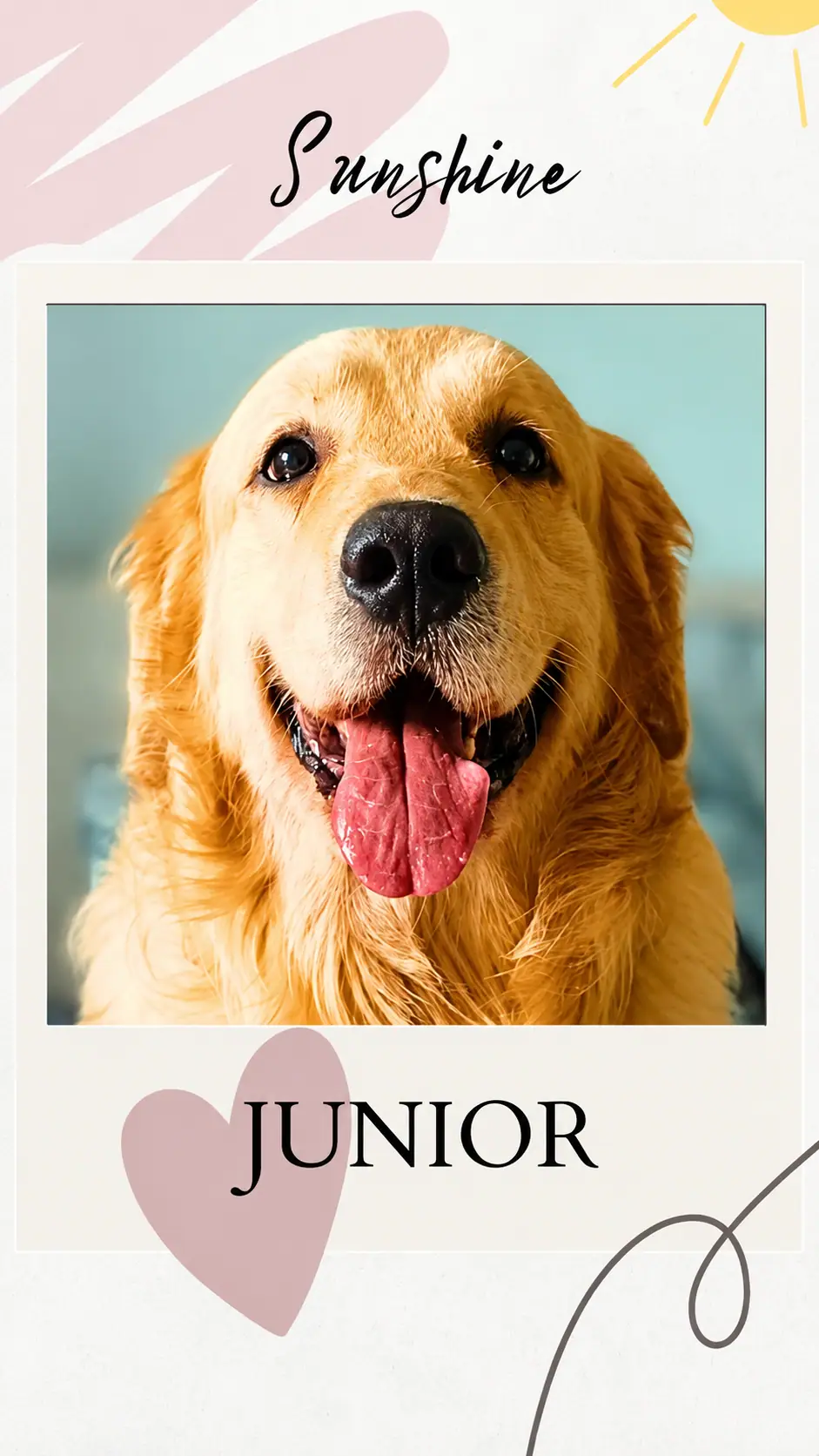 Guest dog junior