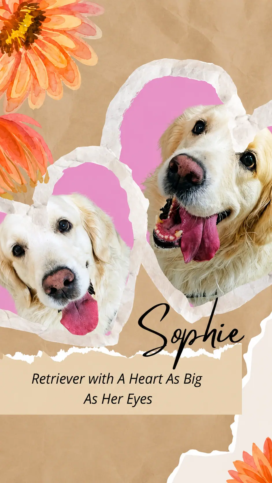 Guest dog sophie