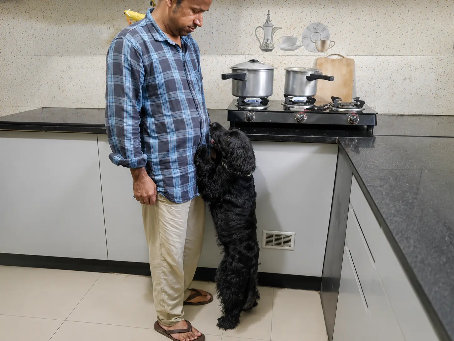 A person spending time with a black dog in the kitchen