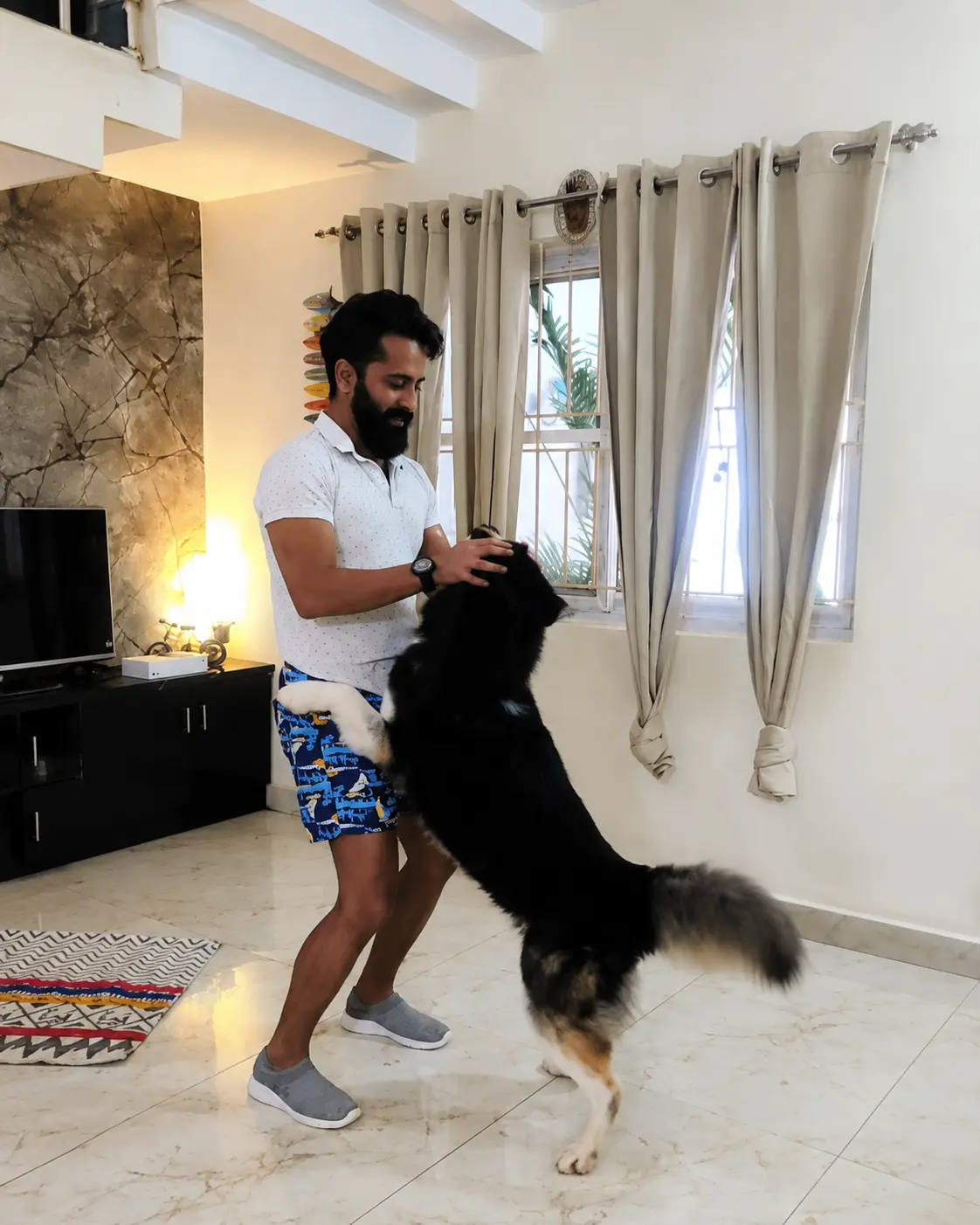 A person playing with a black dog