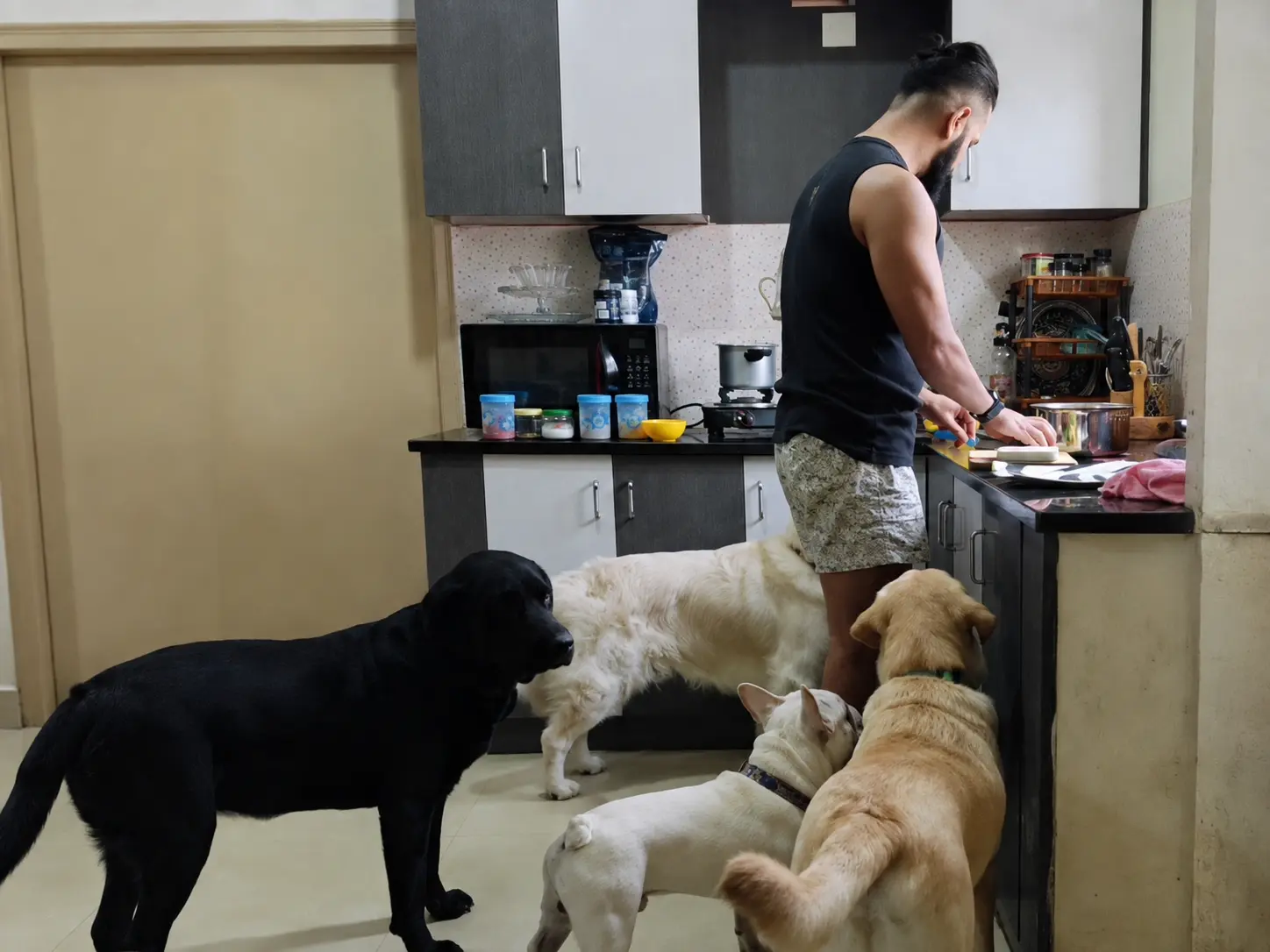 Dogs gathered around a person in the kitchen