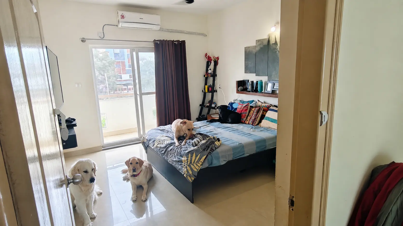 Dogs resting in a Stay Floofy bedroom