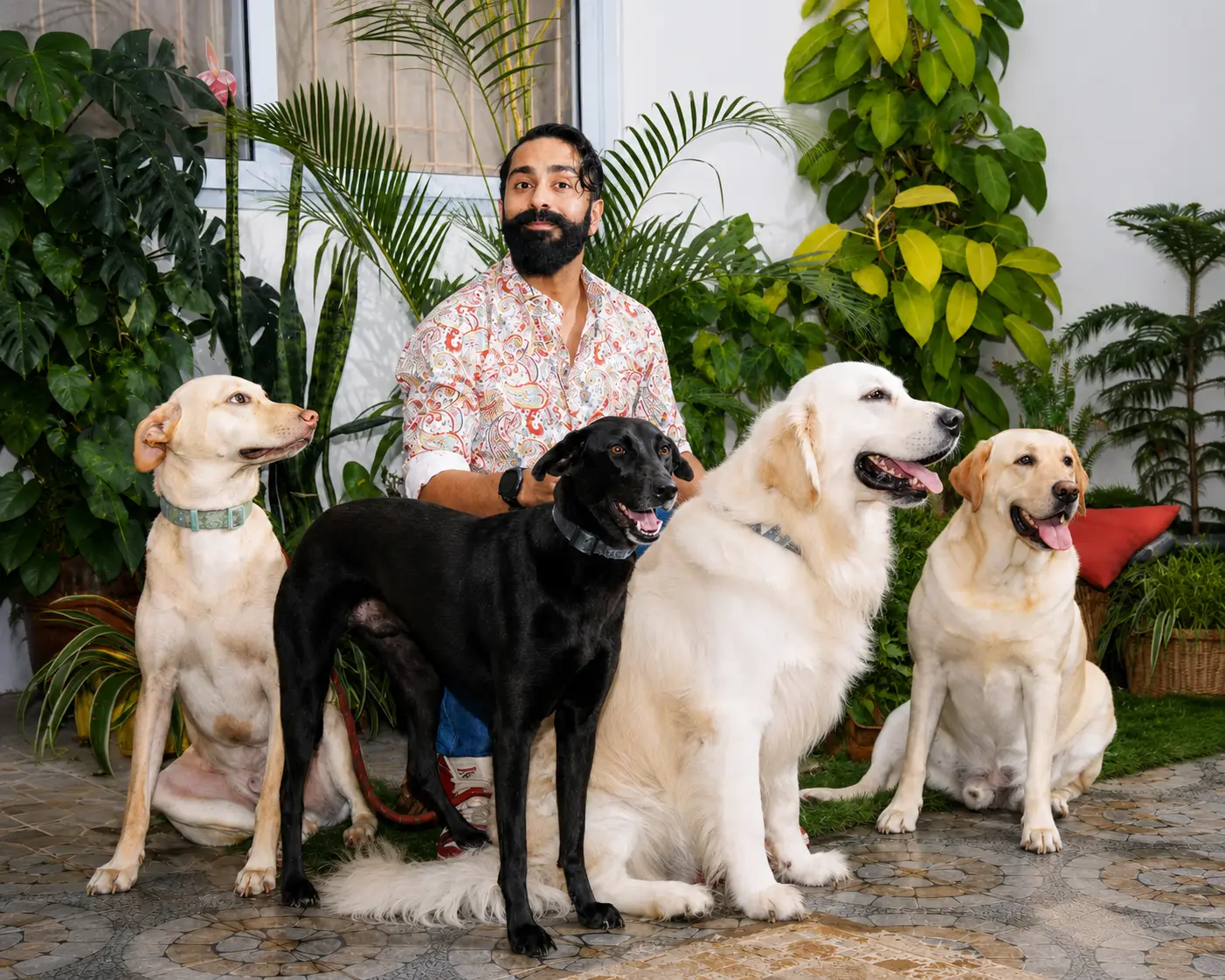 Vikram with five dogs among plants at Stay Floofy