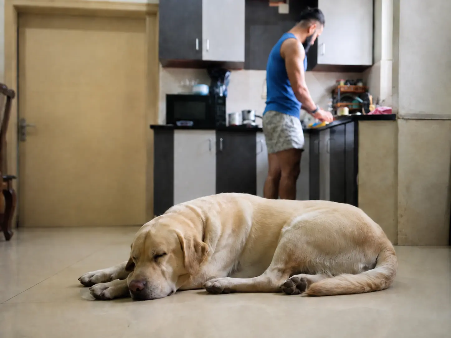 A dog sleeping deeply while normal household activity continues in the background.