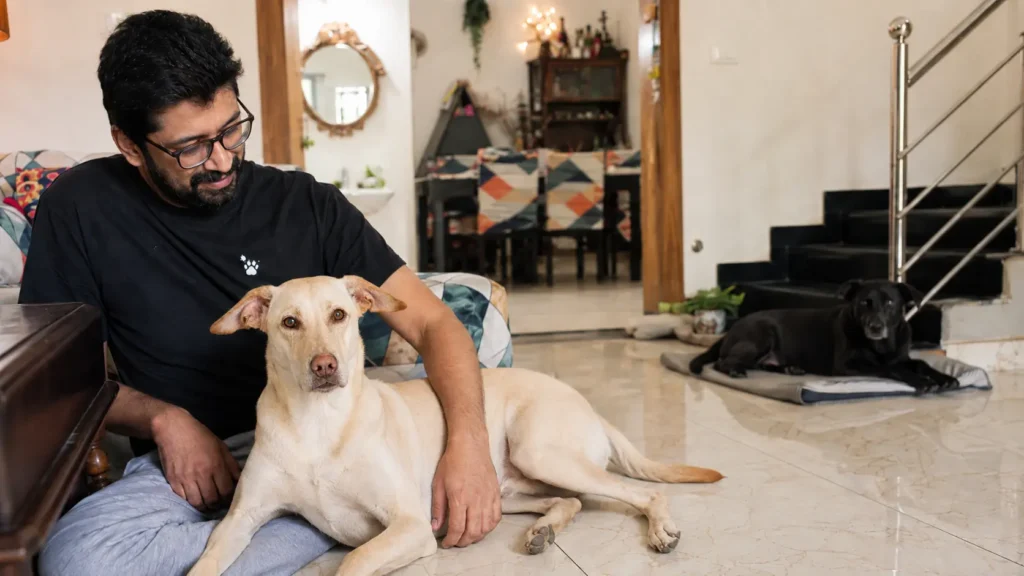 PawPaw sitting with a light-coloured dog while a black dog rests nearby at home.